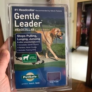 Purple large gentle leader